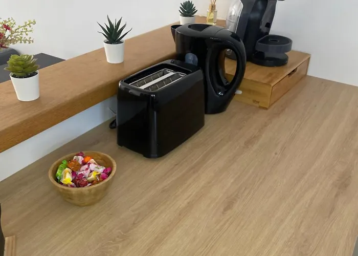 La Maison Des Reves T4 Avec Jardin Holiday home *